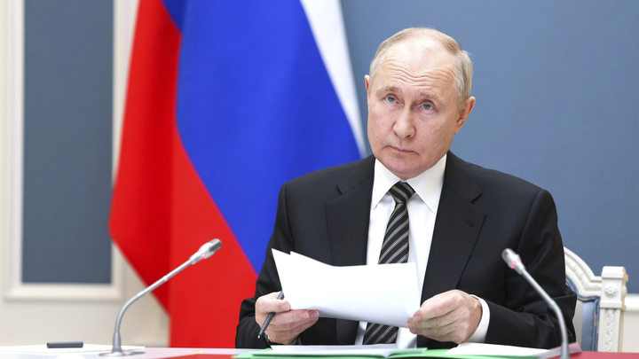 Путин разрешил сделки с долями в уставном капитале холдинга USM