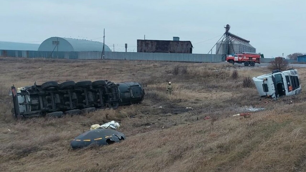 Во вторник, 3 декабря, с утра на территории Елх...