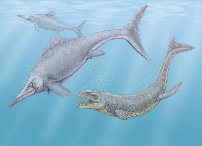 PLOS One: обнаружены окаменелости ихтиозавра, проживавшего 202 млн лет назад