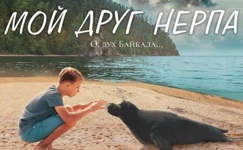 В кинотеатрах Бурятии стартовал показ семейной мелодрамы «Мой друг нерпа»