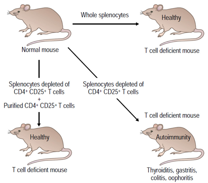 Рис. 3. Эксперимент Сакагути 1995 года