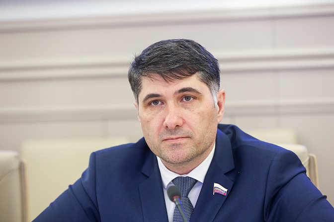 сенатор владимир пушкарёв