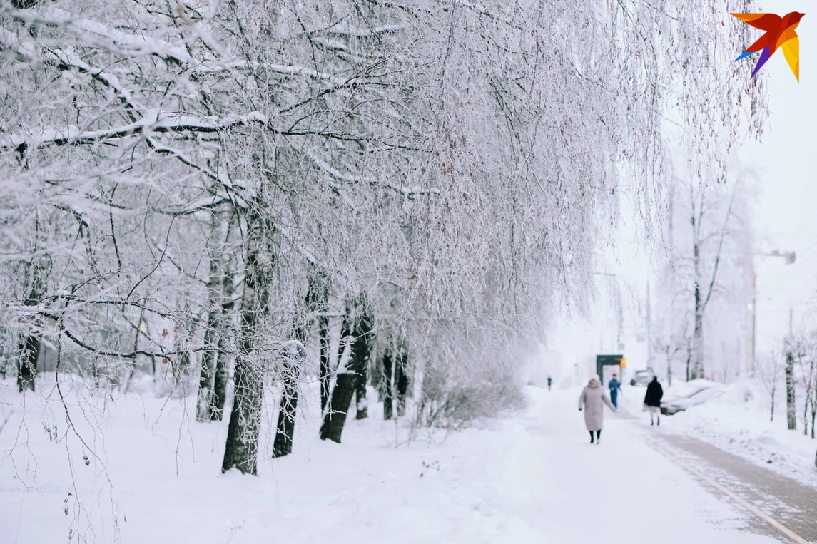 Что планируется в феврале