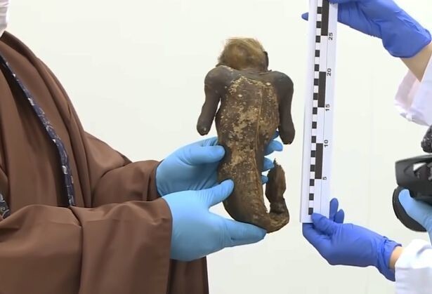 Тайна жуткой мумифицированной «русалочки» из Японии наконец раскрыта
