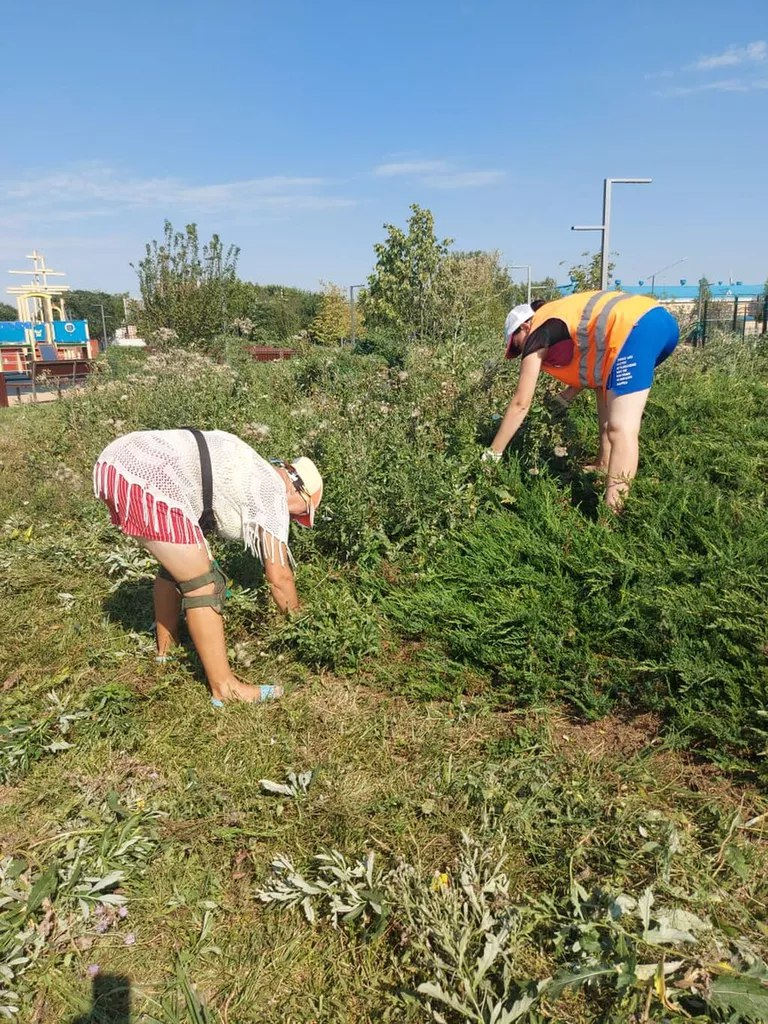 Павловское сельское поселение