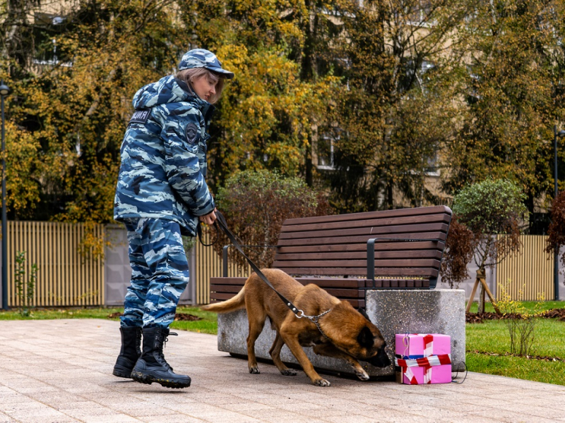 JPG Файл