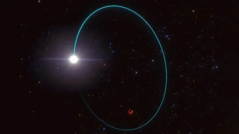 Орбиты как массивной звездной черной дыры, так и ее звезды-компаньона