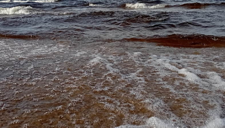 Шторм на озере