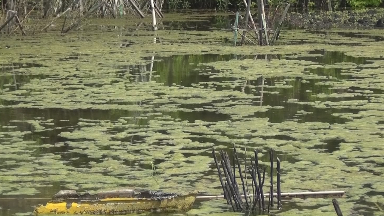 Вода в целине. Подземные воды Воронежской области.