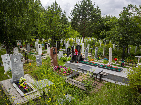 Первую очередь нового кладбища в Северске введут в 2024 году