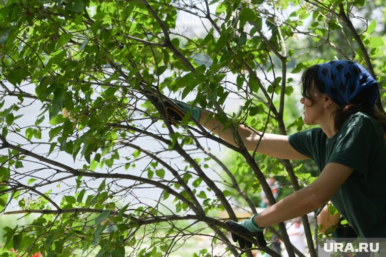 Пересаживать растения в этот день не стоит