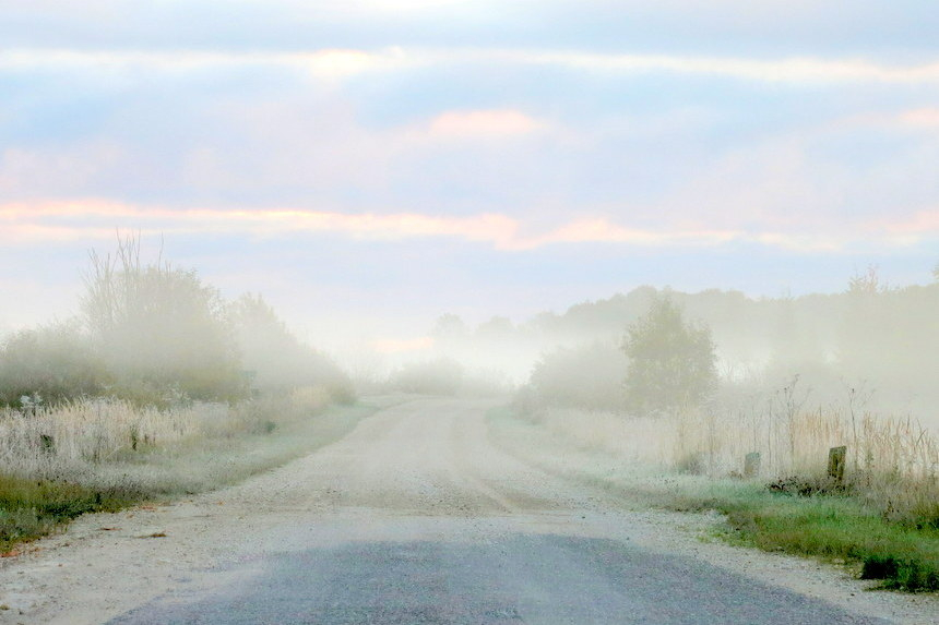 Условиях сильного тумана. Сильный туман на дороге. Сильный туман. Туманнее чем. Как ездить в туман без противотуманок.