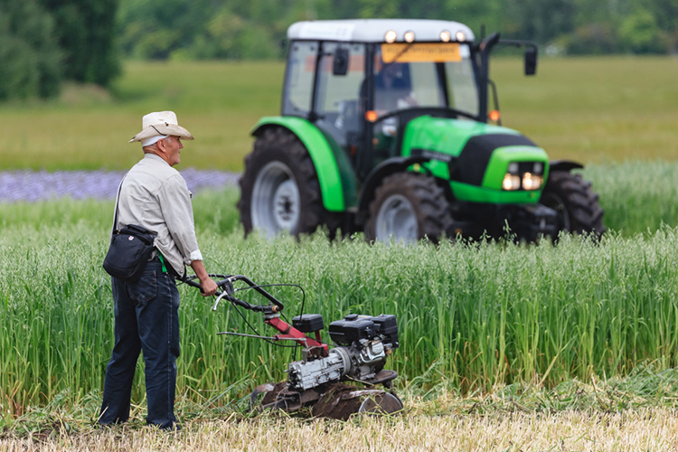 Сегодня средний возраст руководителей КФХ в регионе около 55 лет, а молодежь крайне неохотно идет на ферму