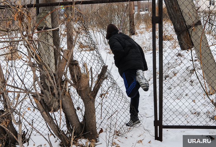 Пони-беглеца поймали на улице в Киеве! Брошенного животного спасли.