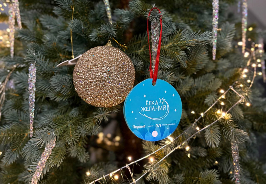 Более 300 подарков уже заказали дети из Хабаровского края на сайте «Елки желаний»