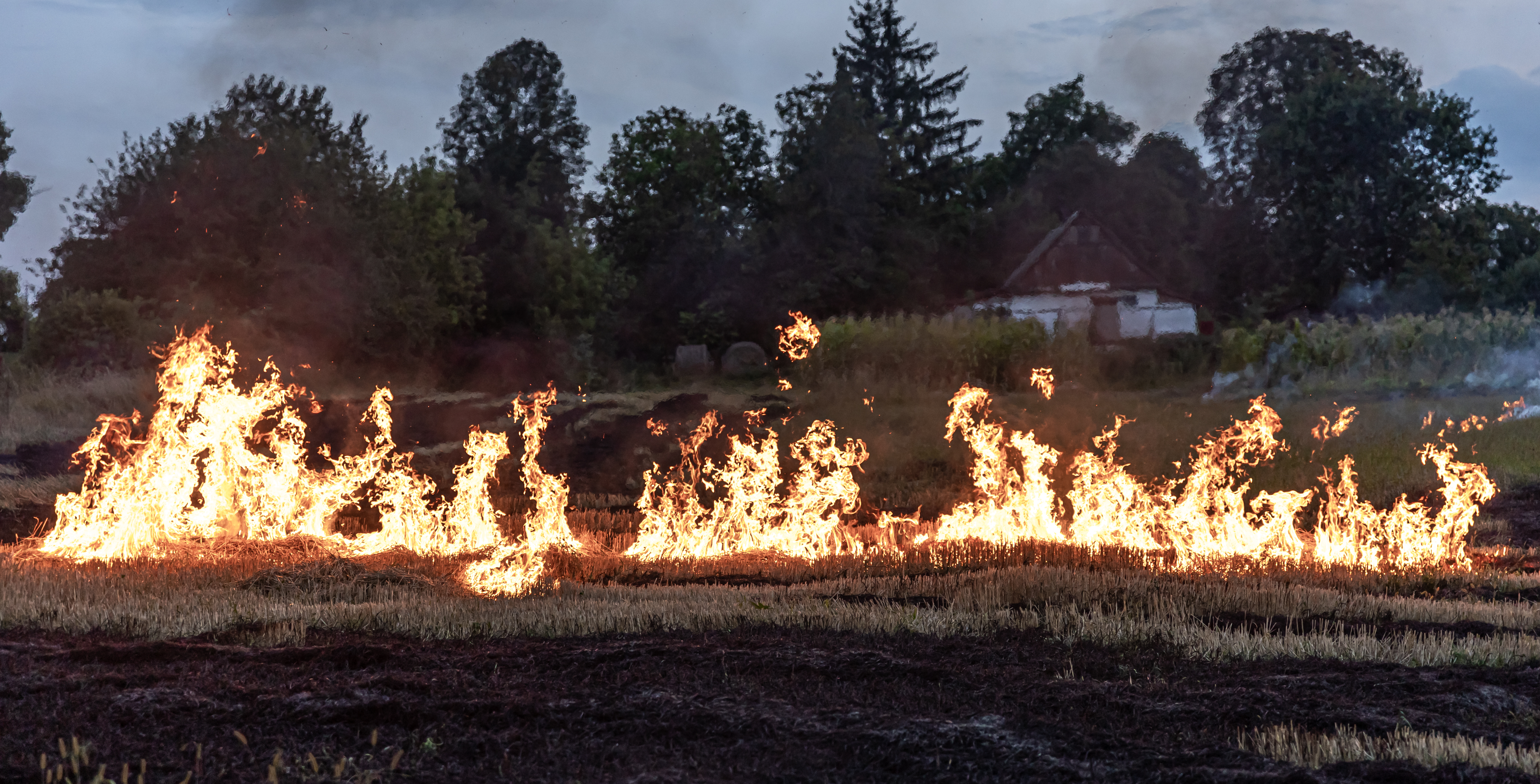 hot-summer-day-dry-grass-is-burning-field-burning-field-with-dry-grass.jpg