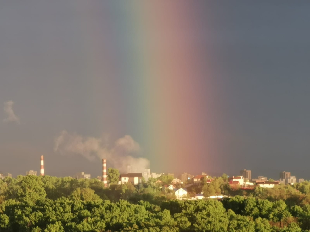 дальний восток уссурийская тайга. сильный дождь в караганде. непогода в хабаровске дожди. дальний восток сахалин. циклон на дальнем востоке.
