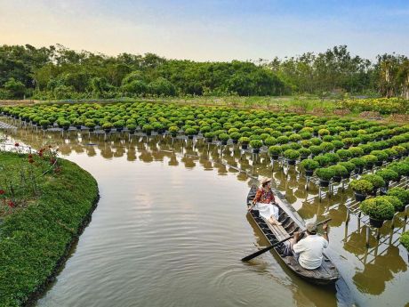 Как получить повышенную комиссию на туры во Вьетнам