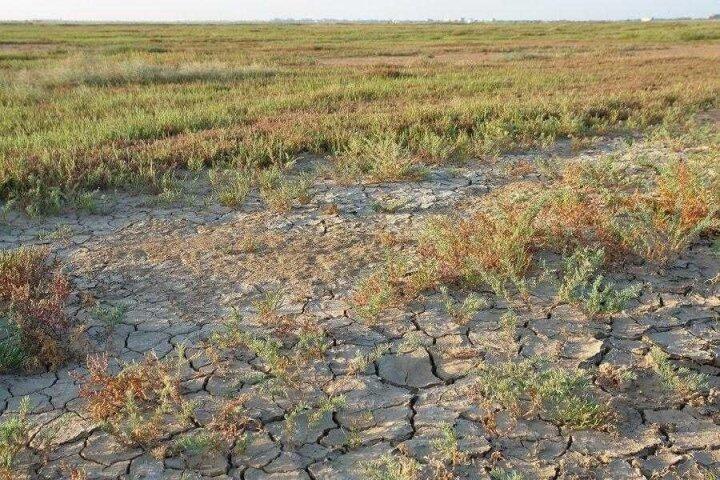 Узбекистан и МАГАТЭ в борьбе с засолением почв