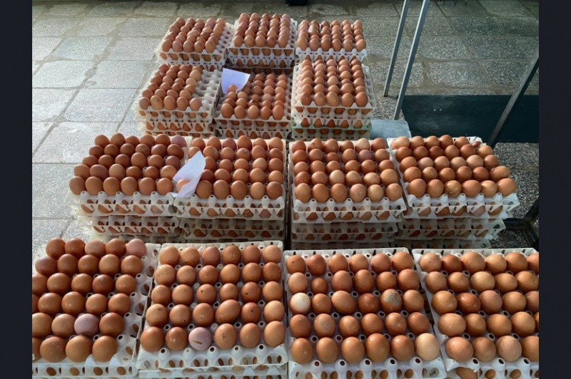 Новосибирская области наращивает производство яиц