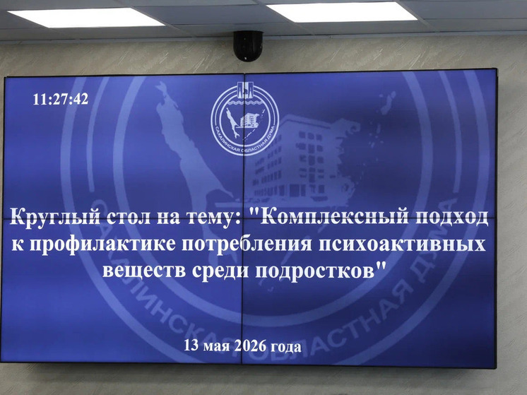 В Сахалинской областной Думе обсудили комплексную защиту подростков от вейпов и психоактивных веществ