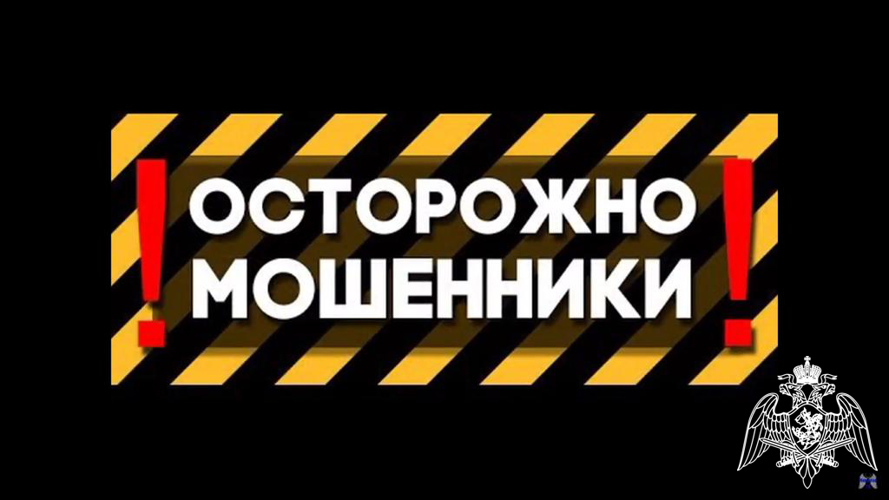 Росгвардия информирует граждан о том, как не стать жертвами мошенников