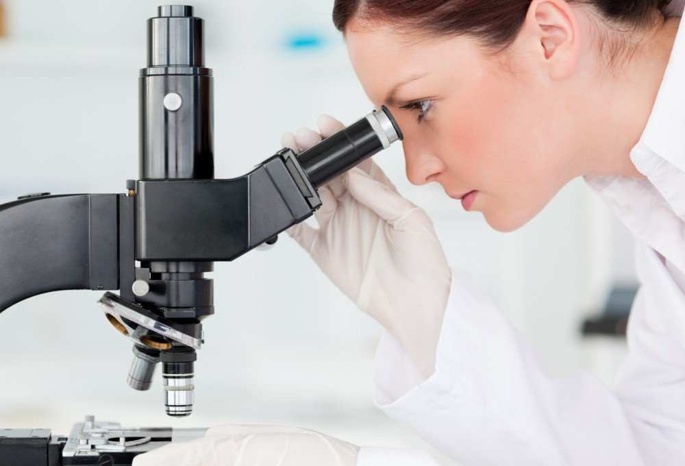 «Это безумие»: ученые нашли лазейку в фундаментальном законе жизни