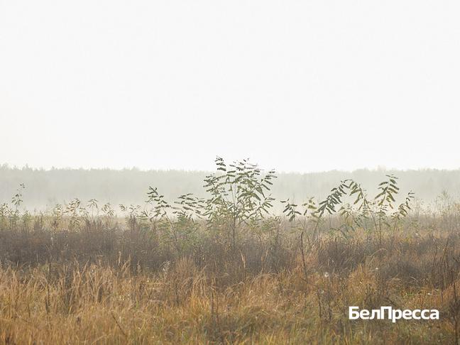 Вячеслав Гладков провёл совещание по вопросу строительства президентской школы - Изображение 2