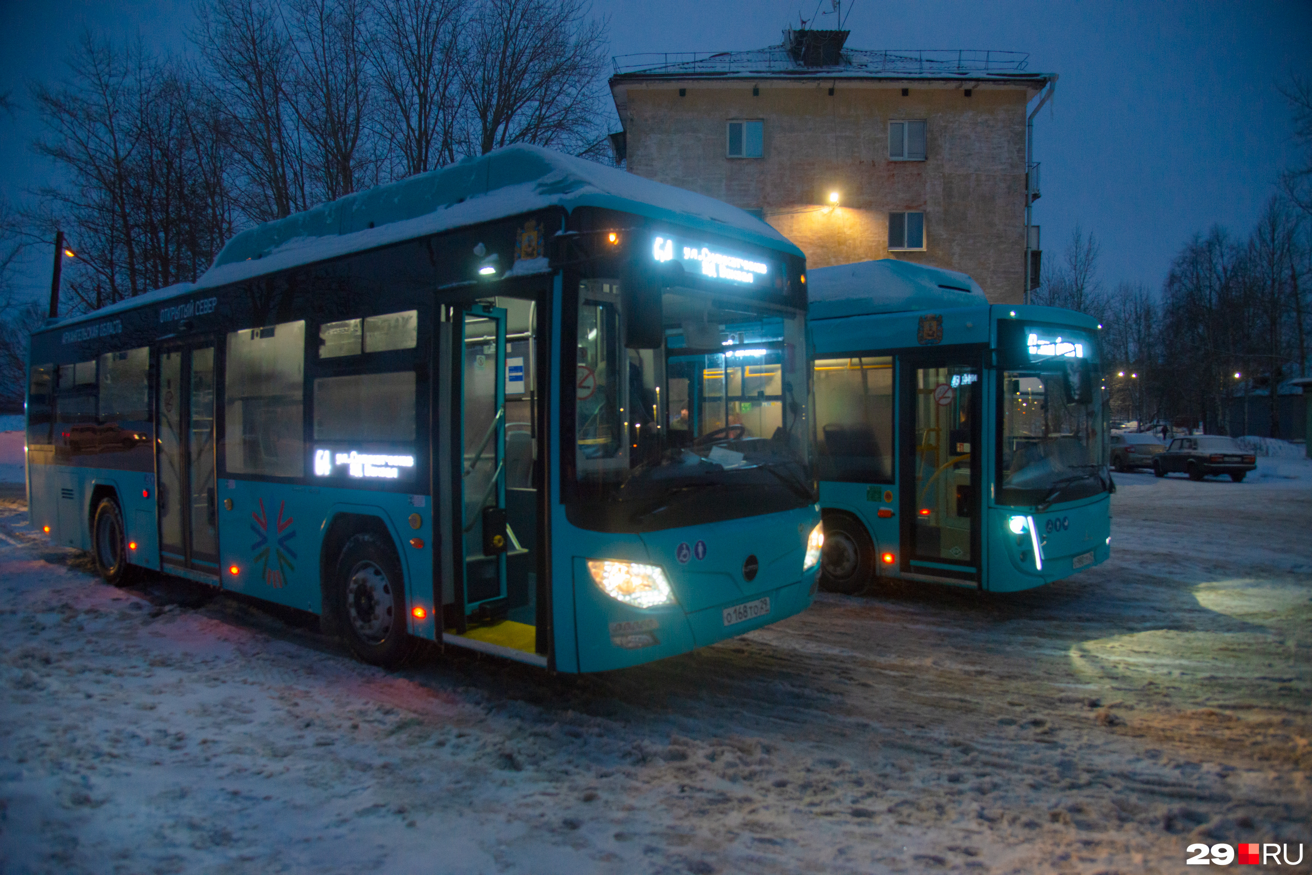 Несколько автобусов