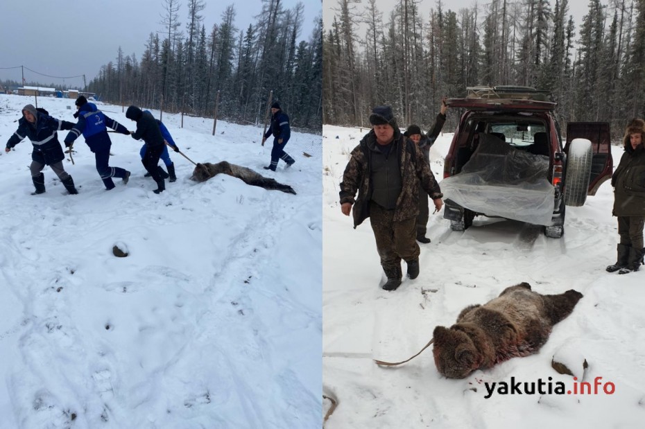 Нападение на вахтовиков в якутии