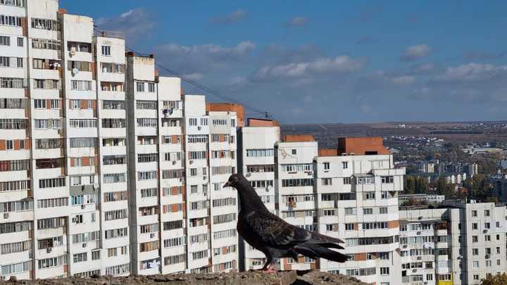 Молдавское правительство берет очередной многомиллионный кредит – на что потратит?