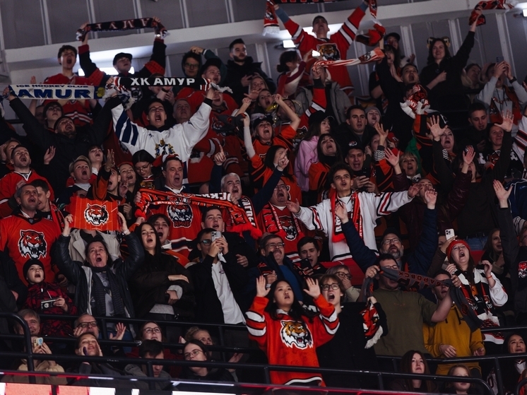Не дотерпели: Хабаровский «Амур» прервал победную серию, уступив московскому «Динамо»