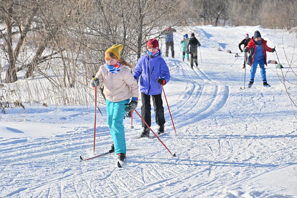 Новоорловский парк Лыжня