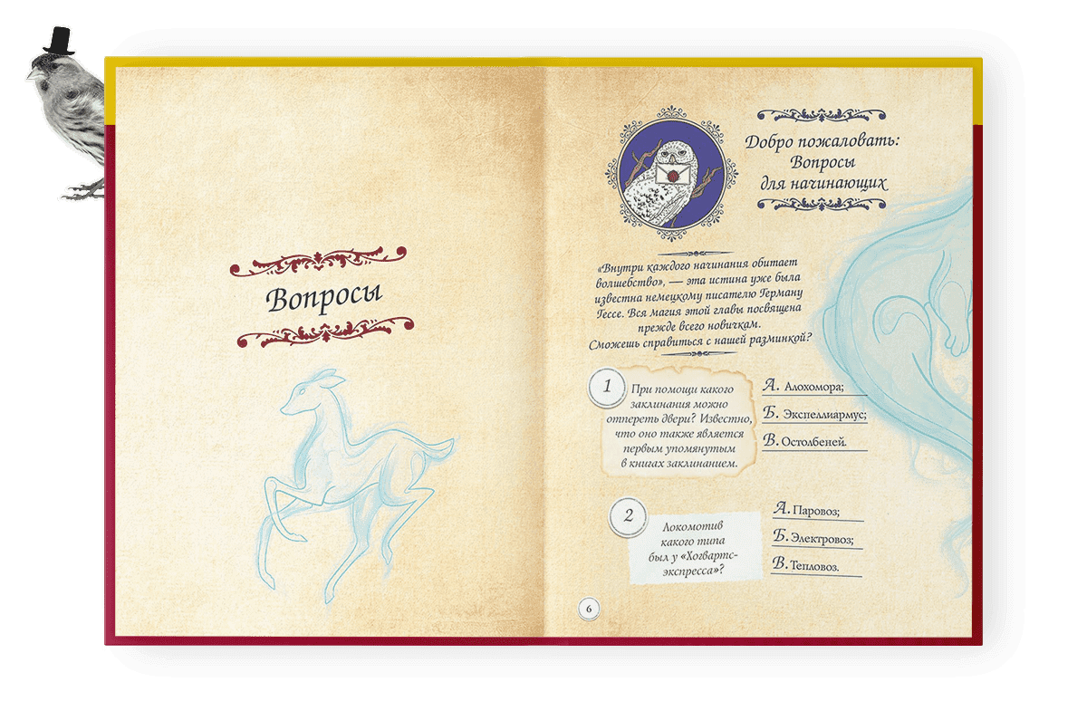 Фан-квиз по волшебной вселенной Гарри Поттера могут пройти псковичи ...