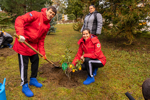 В Сочи к юбилею Игр – 2014 олимпийские чемпионы высадили аллею цитрусовых