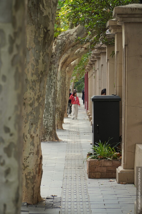 Вьет Вам, часть 1. Шанхайский полдень