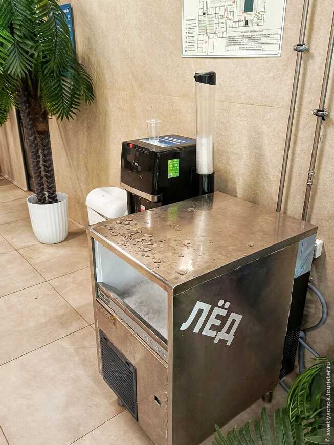 Развлечения в ноябрьском Петербурге