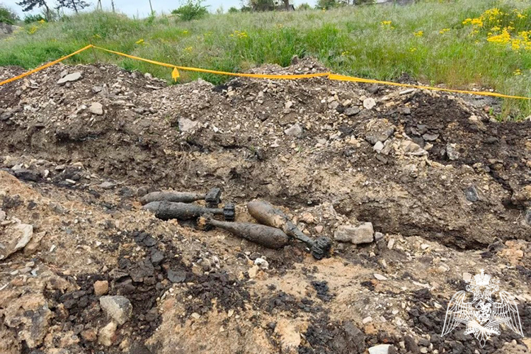 В Крымском районе взрывотехники Росгвардии уничтожили 17 мин