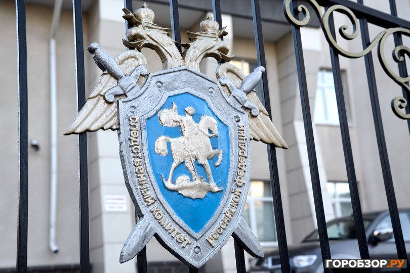 Бастрыкин требует доклад по делу сироты в Башкирии