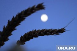 Праздничные даты 27 июля 2025 года