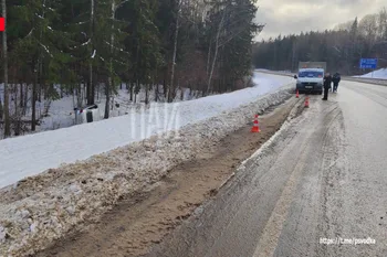 Фото: Псковская сводка