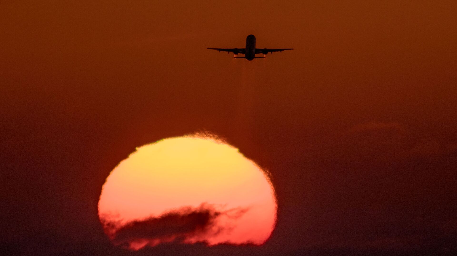 Самолет - Sputnik Грузия, 1920, 01.11.2025