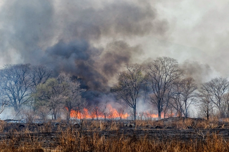 Лесной пожар зафиксирован в УГО за минувшие сутки Александр Хитров, ИА PrimaMedia