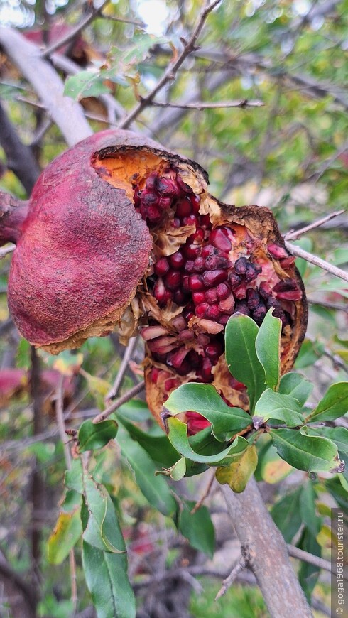 В хлопковый замок с хлопком в кармане