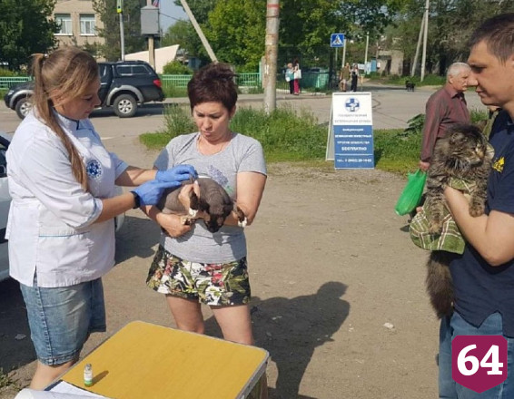 В Саратовской области стартовала бесплатная вакцинация от бешенства