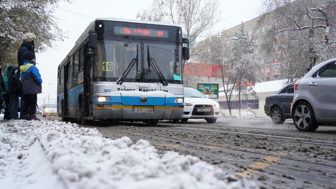 Несколько автобусов