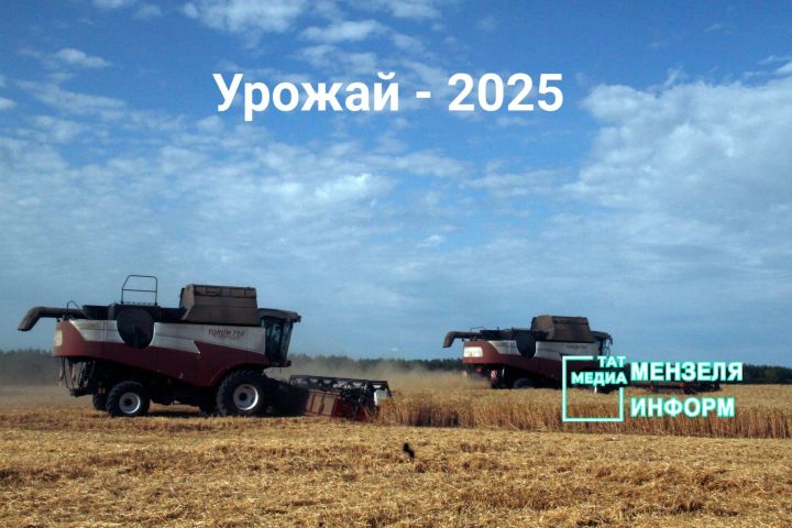 Мензелинские хлеборобы приступили к уборке урожая