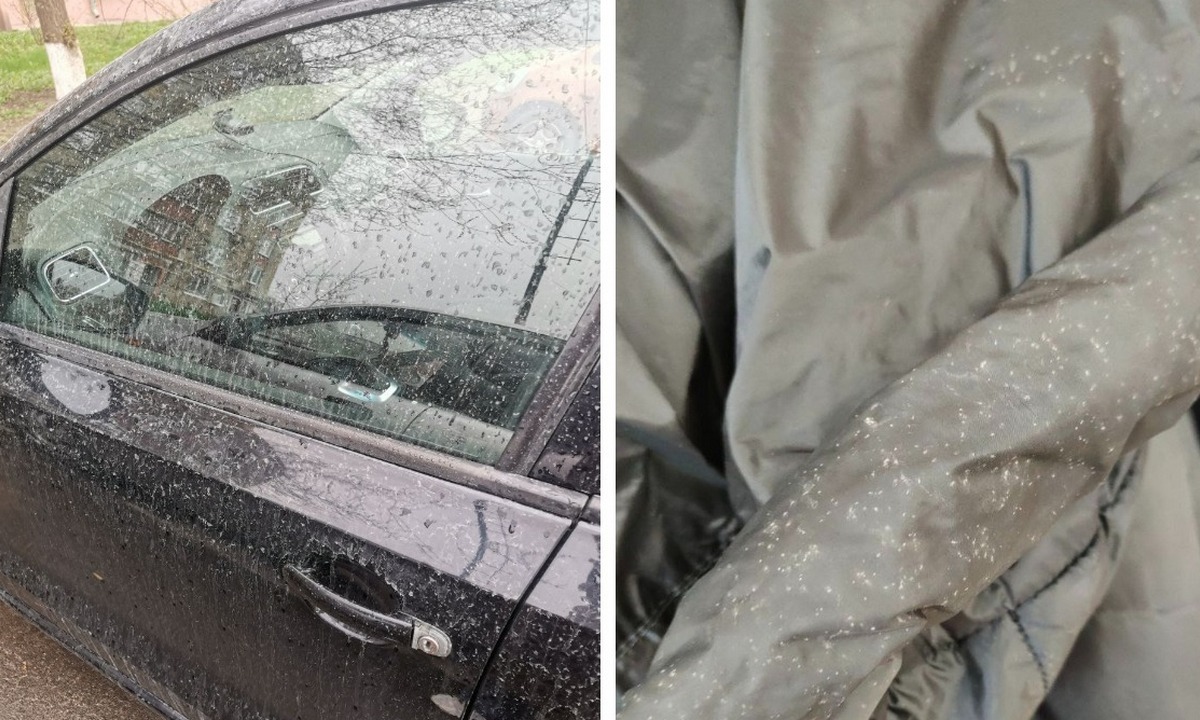 Пылевой дождь что это. Пылевой дождь что это. Дождь пыль. Грязный дождь в белгороде. Пылевой дождь что это.