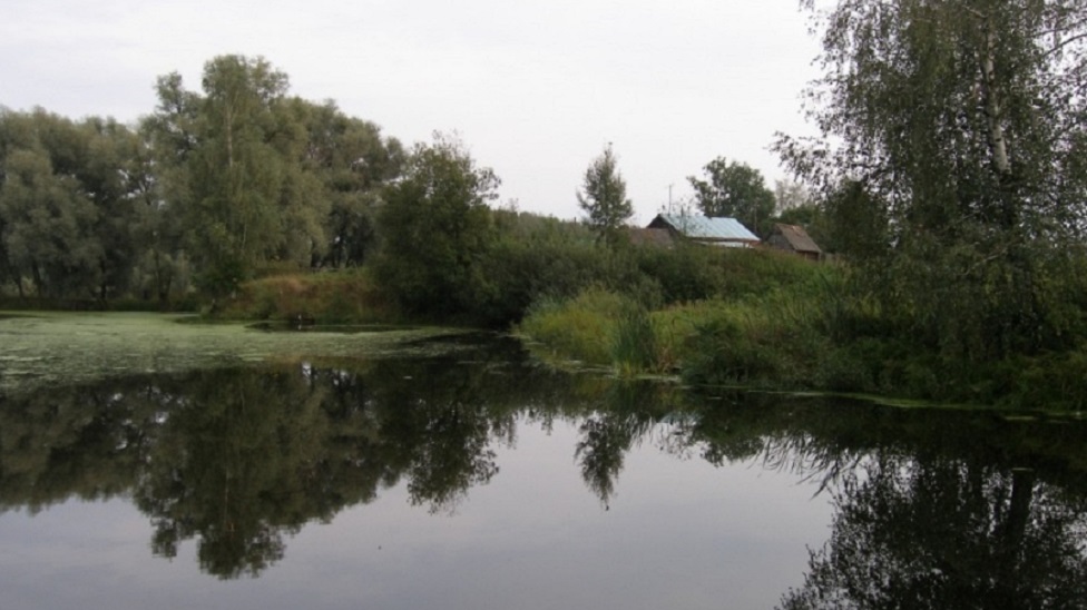 Подросток утонул в водоеме Липецкой области в субботу 24 мая
