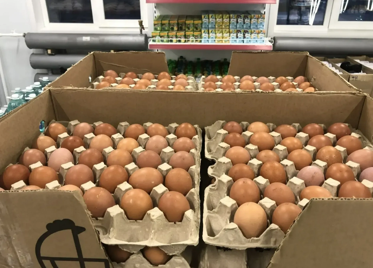 Новые партии продуктов ниже рыночных цен поступили в Арктику Якутии  пресс-служба главы и правительства РС (Я)